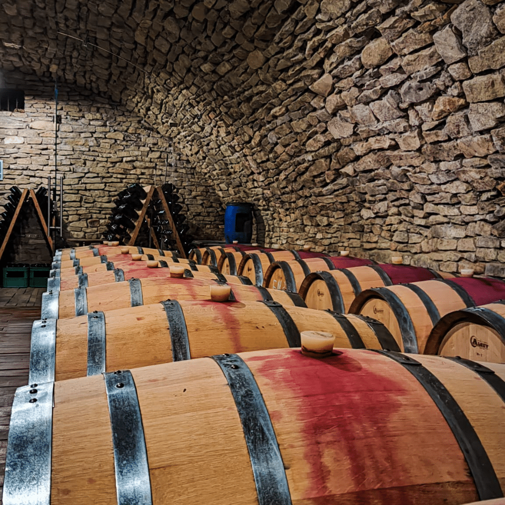 beci crama mircesti baricuri barrique vinuri moldovenesti crama moldova