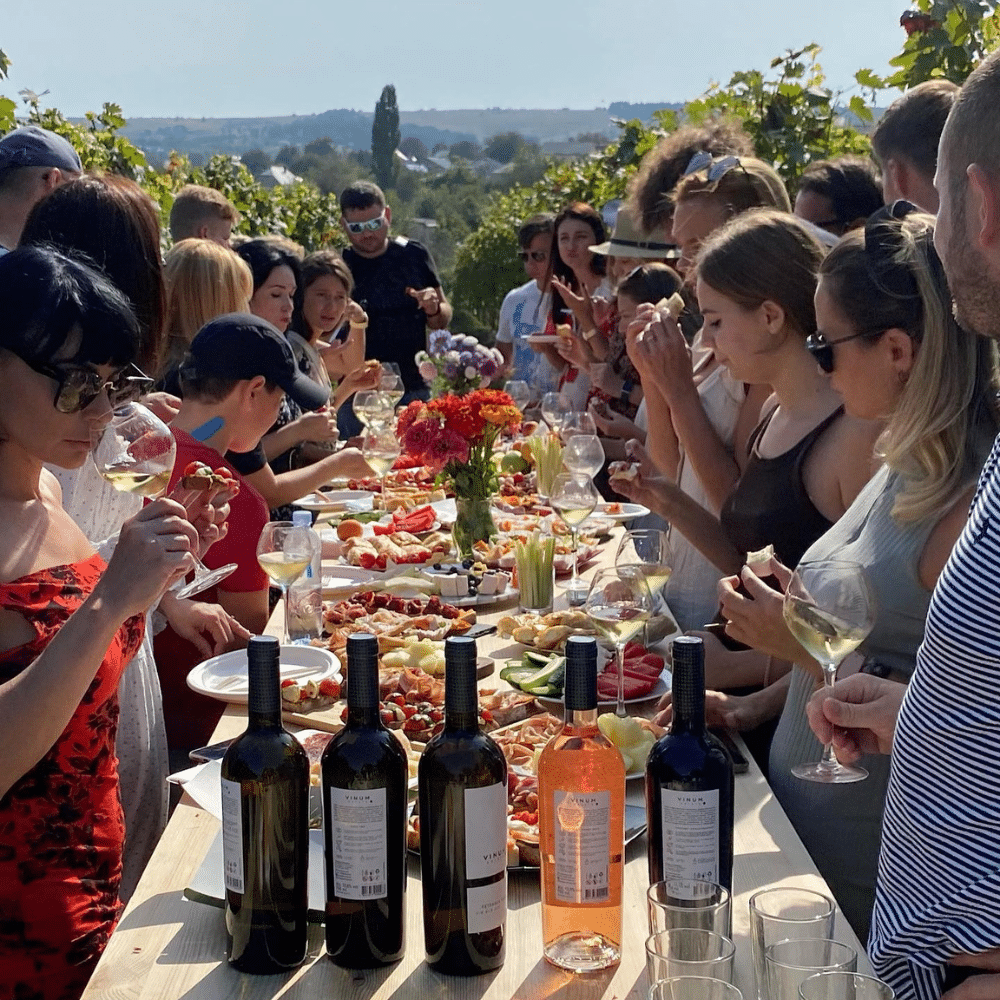 vinuri moldovenesti vinum estate vita de vie degustare de vin