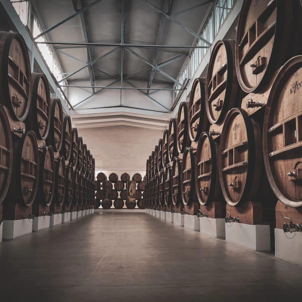 kvint divin distilerie coniac moldova
