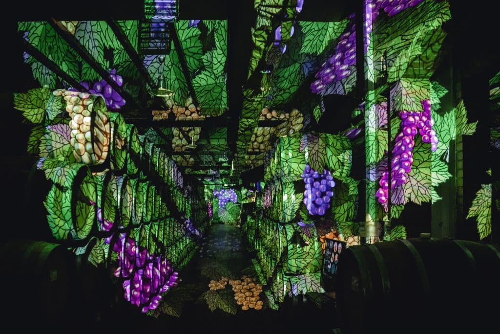 Legenda vinului Acasa la Taraboste