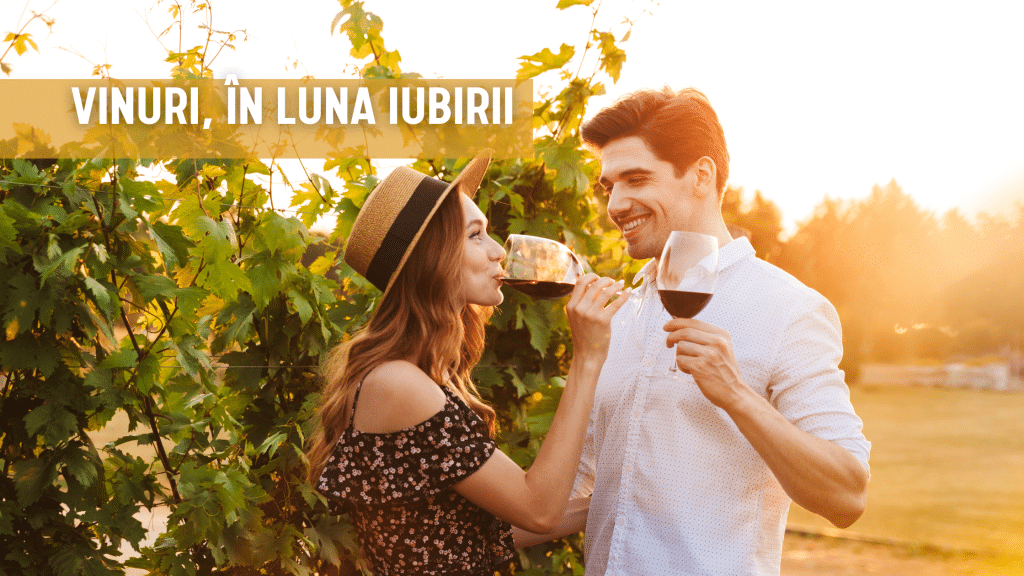 vinuri recomandari vin februarie luna iubirii valentine's day