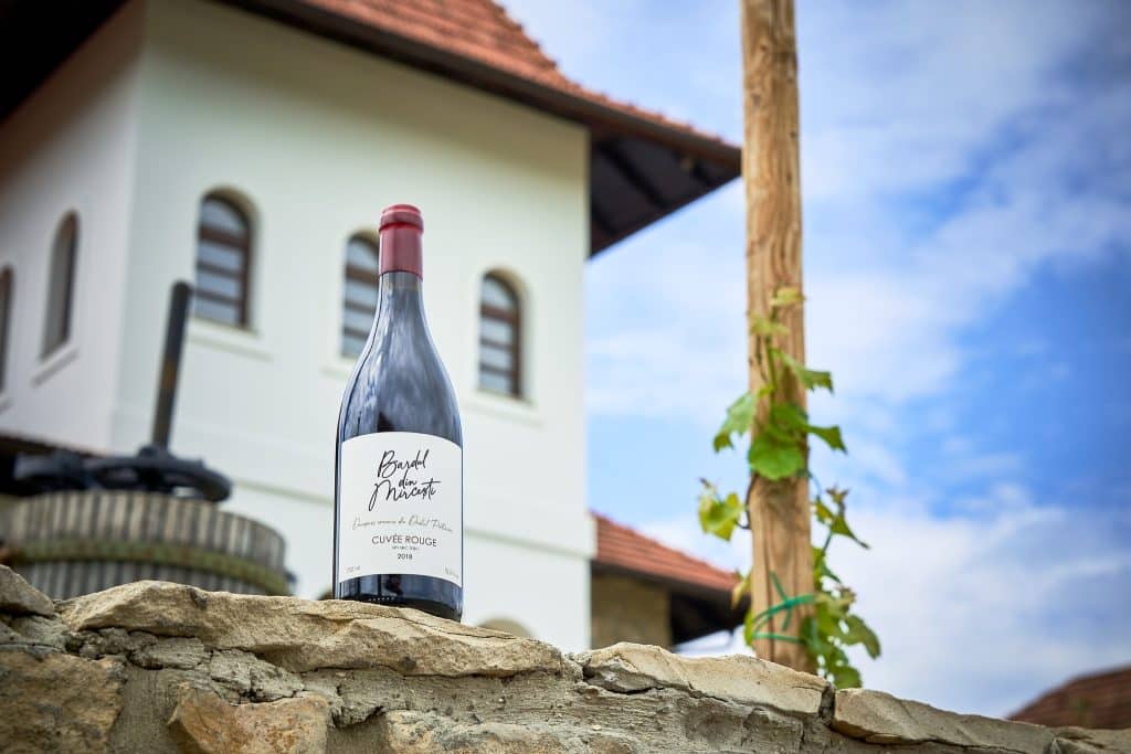 bardul din mircesti cuvee rouge saperavi vin moldovenesc struguri vinuri romania