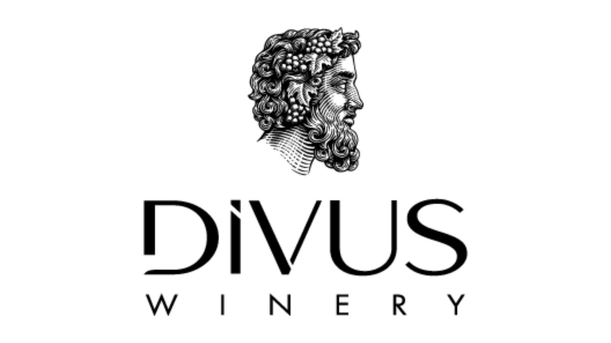divus winery vinuri moldova vin moldovenesc