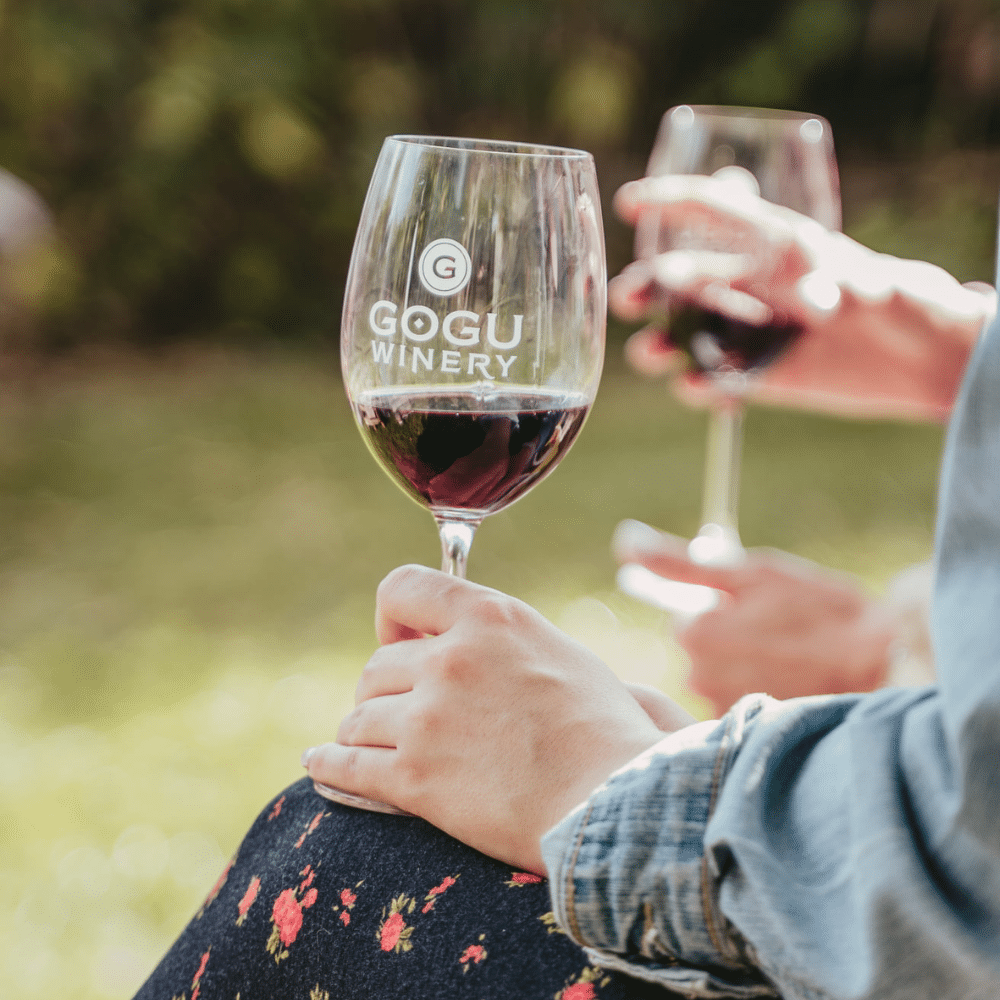 gogu wnery vin moldova vinuri moldovenesti crama