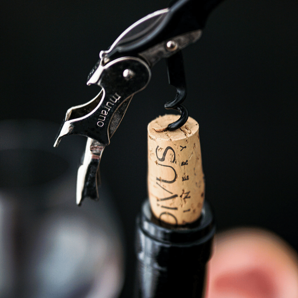 divus winery vin moldova vinuri moldovenesti crama