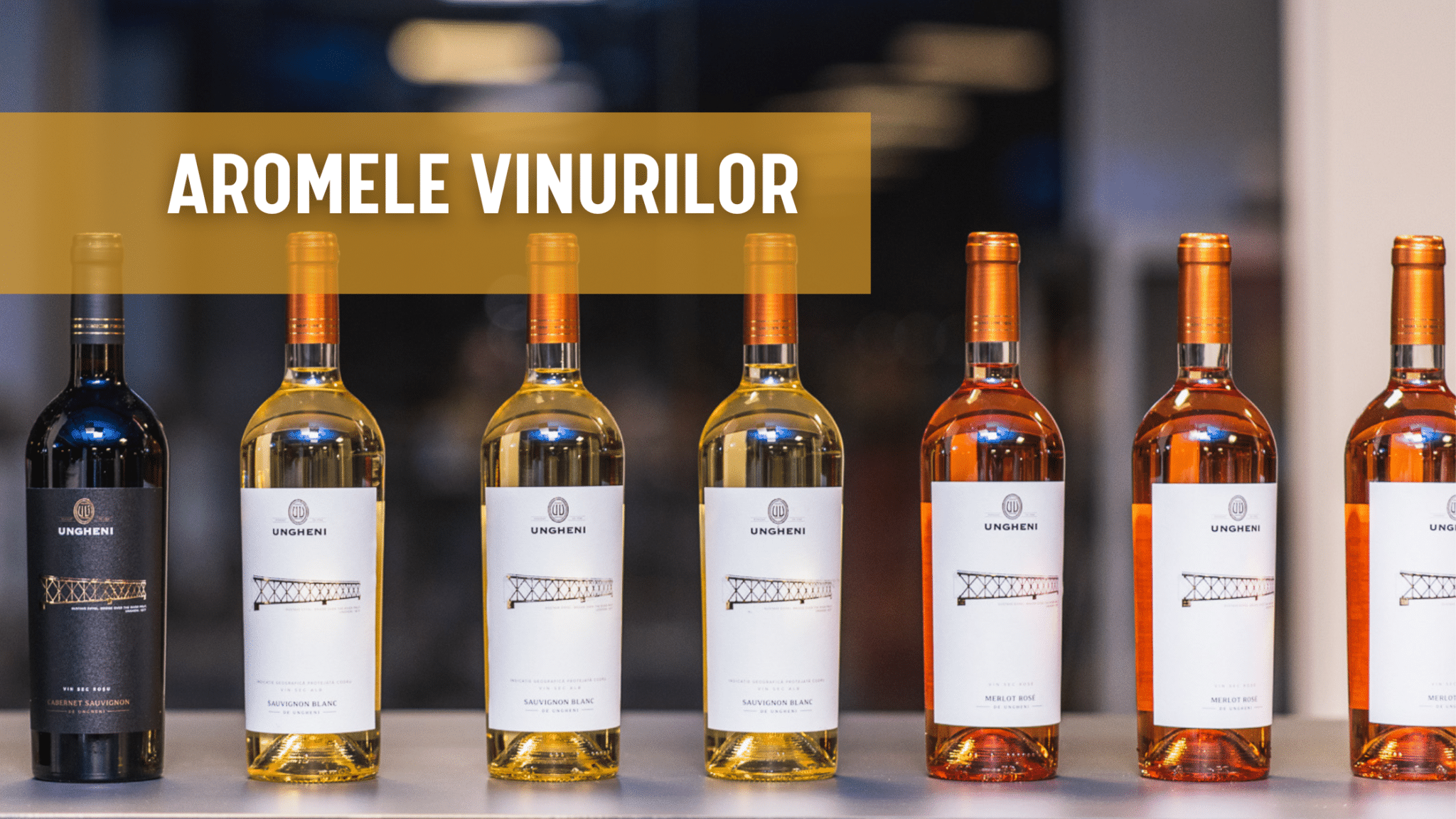 vinuri vin ungheni moldova arome